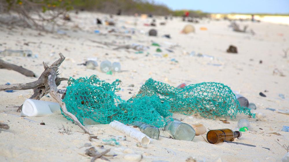 Ocean debris on a beach