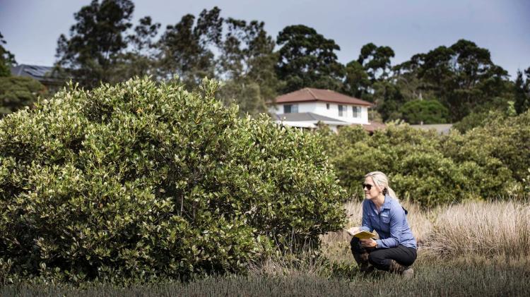 Associate Professor Kerrylee Rogers with mangroves