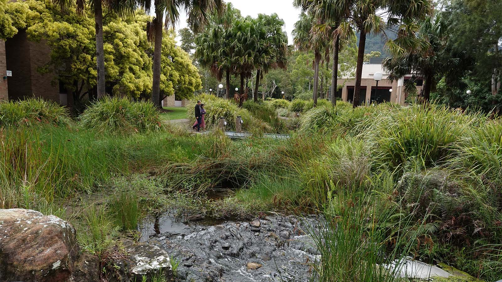 Photo showing the lush greenery of UOW campus
