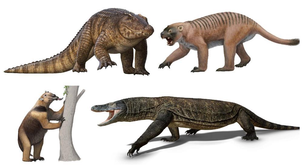 collage of artist's impressions of some of the megafauna from the South Walker Creek site