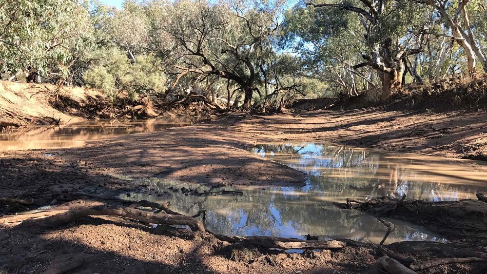 Paroo River, Eulo, Queensland for Dr Reka Fulop