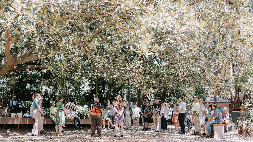 A group of people stand in the shade of a fig tree on a sunny day