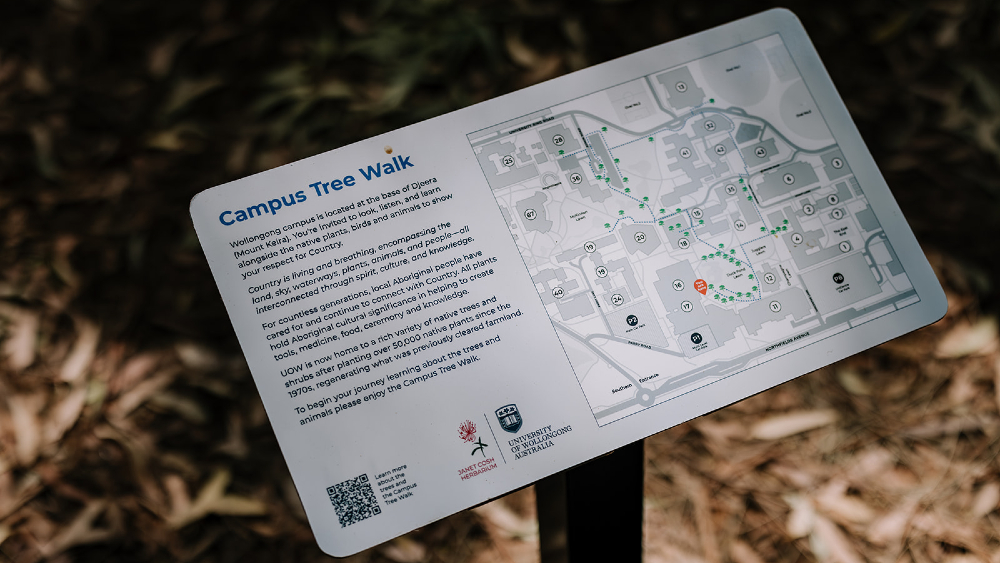 A sign showing the map of the Campus Tree Walk