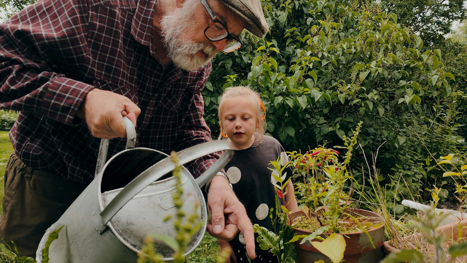 An elderly gentleman wearing a hat and holding a watering can helps a young girl in the garden. Photo: Unsplash