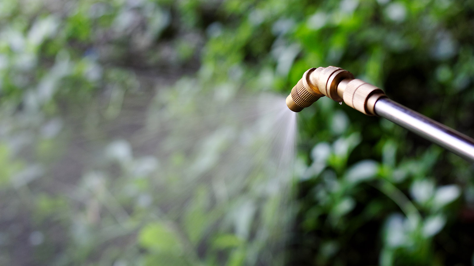 A nozzle sprays herbicide onto plants