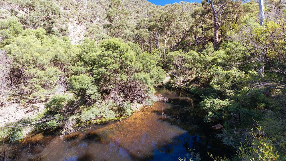 A tree-lined creek at the bottom of a gorge in Australia