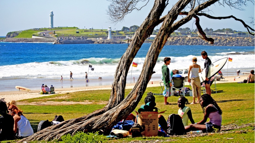 Standard Content Header